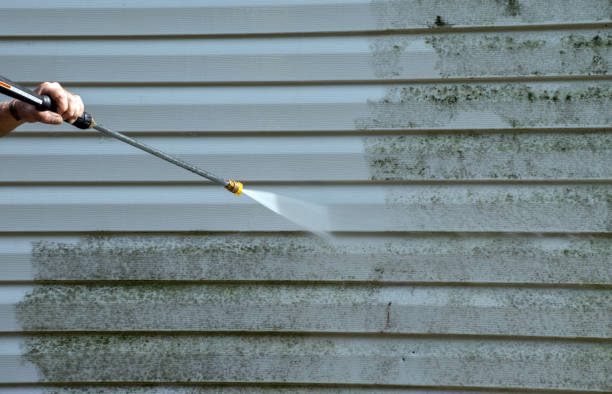 Best Affordable Pressure Washing  in West University Place, TX