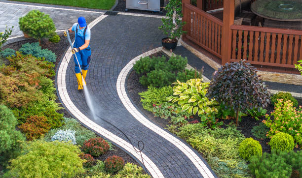 Best Roof Pressure Washing  in West University Place, TX